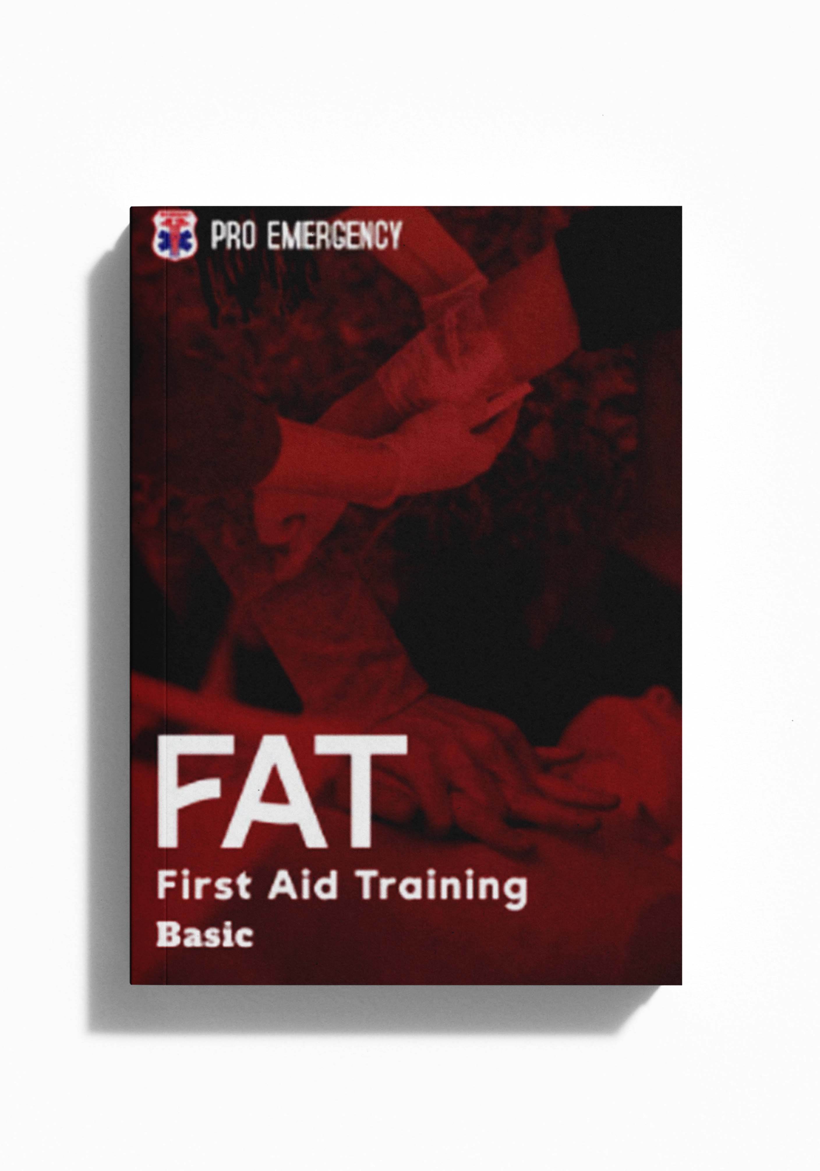 FAT BASIC